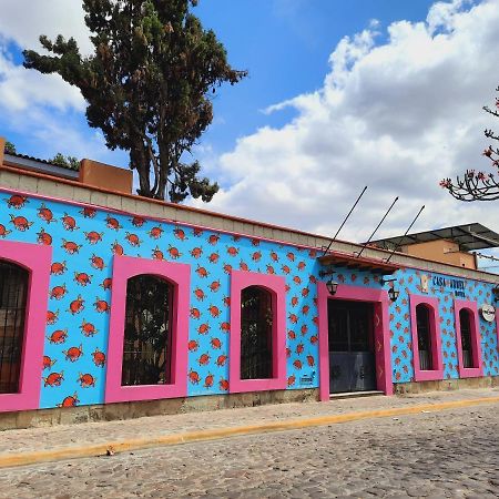 Hotel Casa Arnel Oaxaca Dış mekan fotoğraf