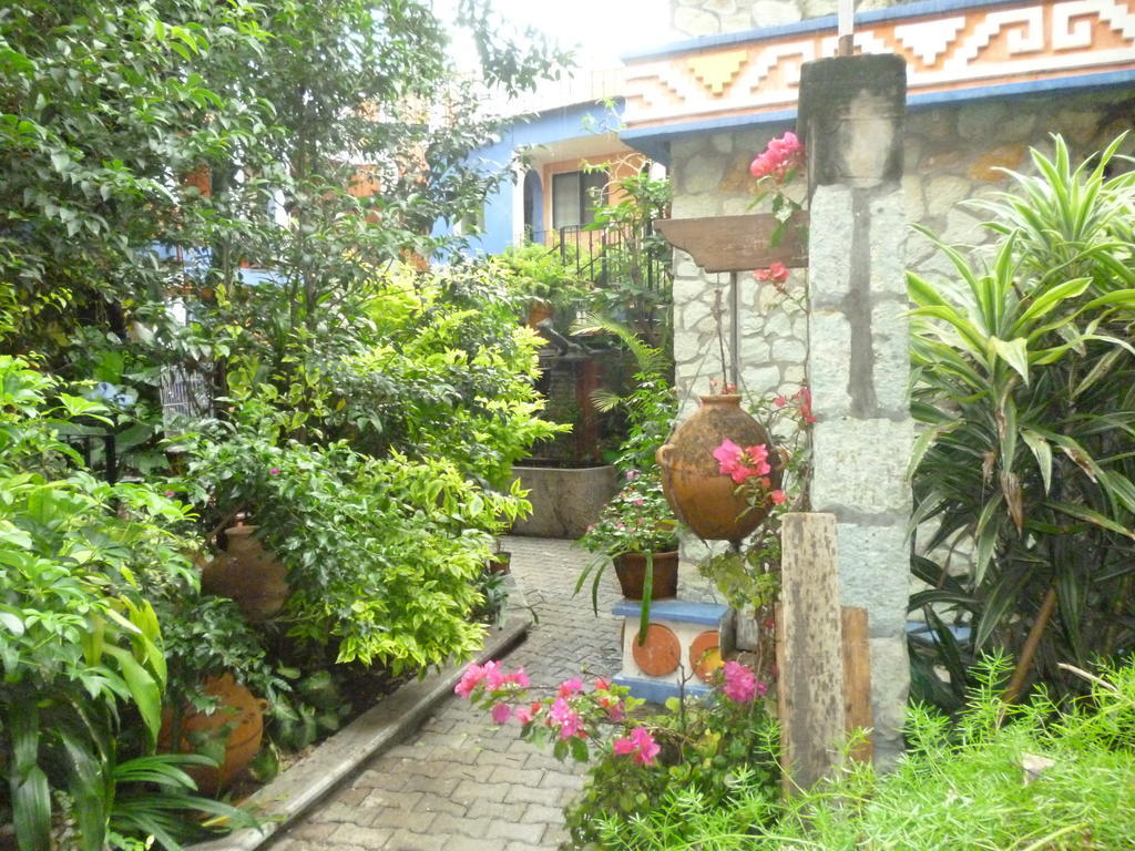 Hotel Casa Arnel Oaxaca Dış mekan fotoğraf