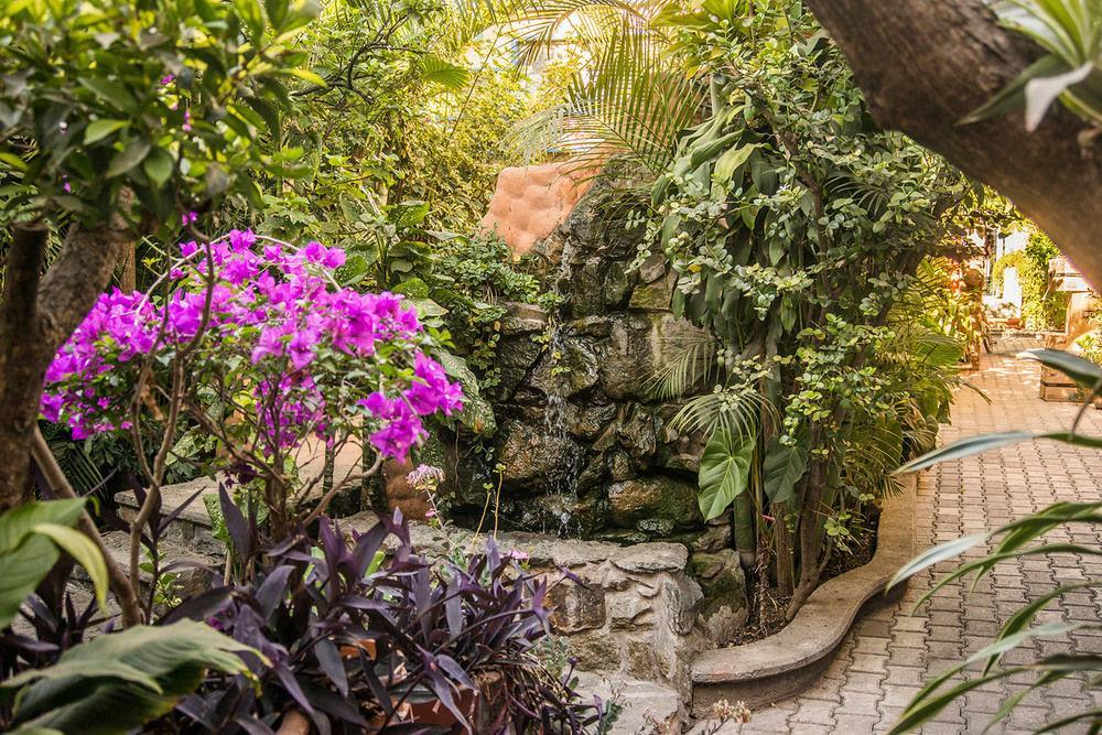 Hotel Casa Arnel Oaxaca Dış mekan fotoğraf